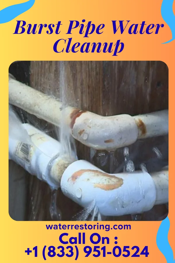 Burst Pipe Water Cleanup in Catlettsburg, KY