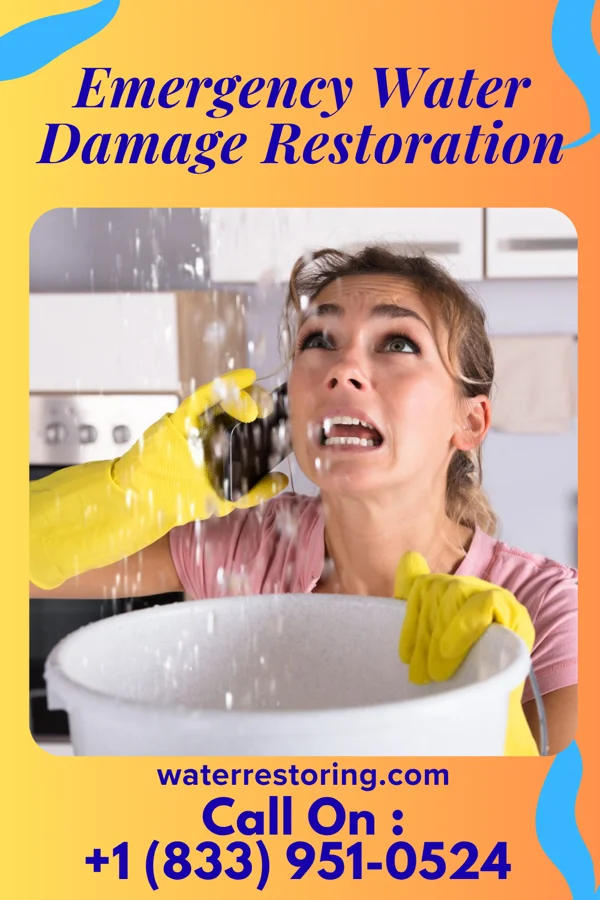 Emergency Water Damage Restoration in Catlettsburg, KY