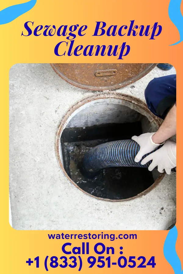Sewage Backup Cleanup in Catlettsburg, KY