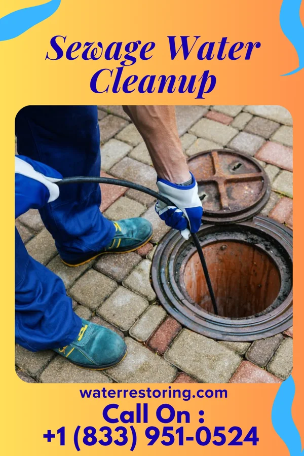 Sewage Water Cleanup in Catlettsburg, KY