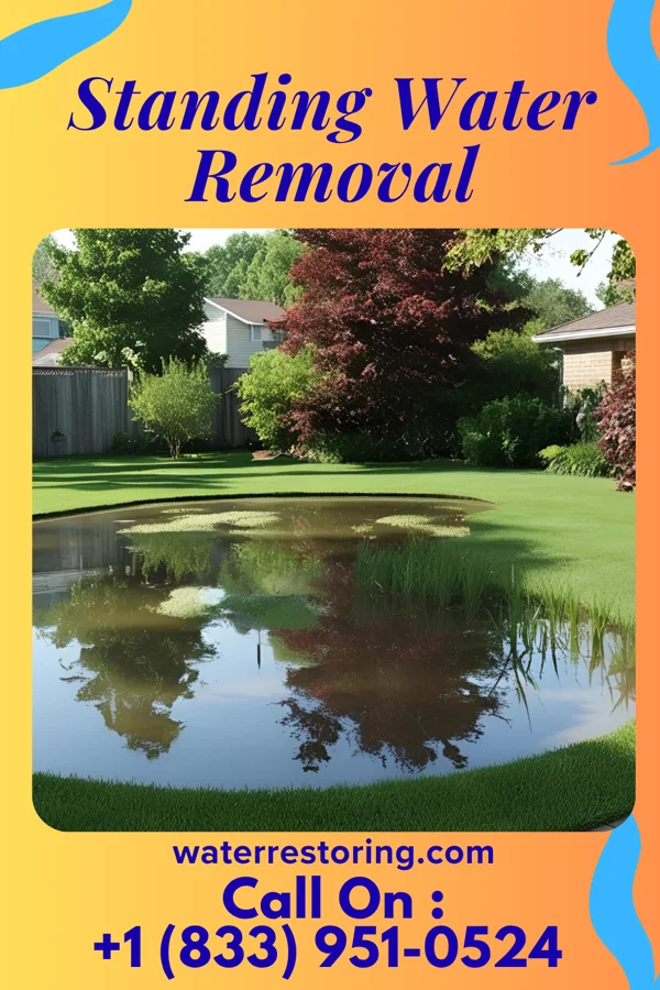 Standing Water Removal in Catlettsburg, KY